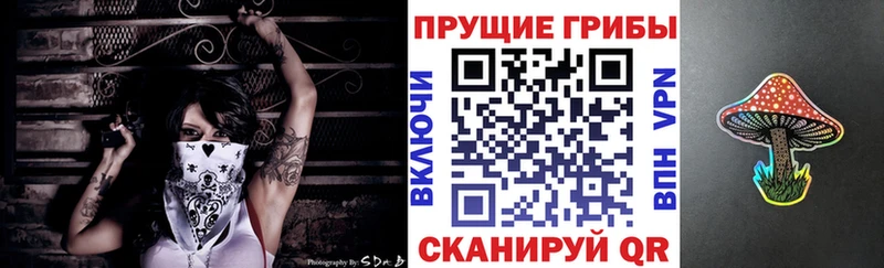 Псилоцибиновые грибы MAGIC MUSHROOMS  Буинск 